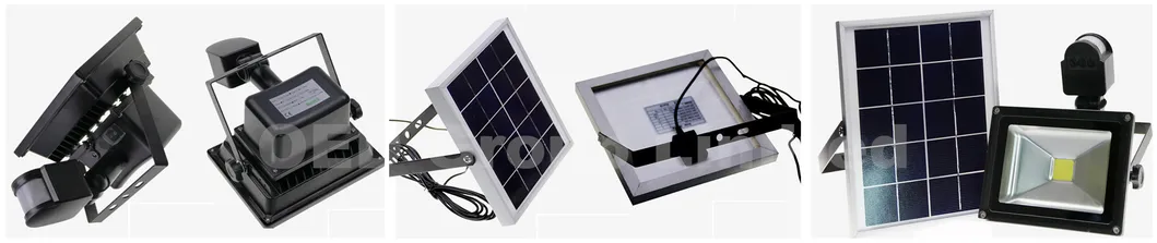2 Years Warranty IP65 10W Solar Power LED Floodlight