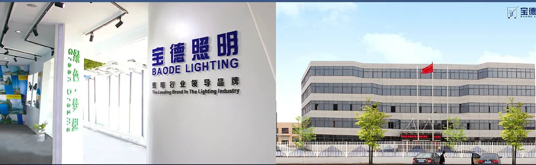 30/ 40/50/60W LED with Steel Pole Solar Street Light