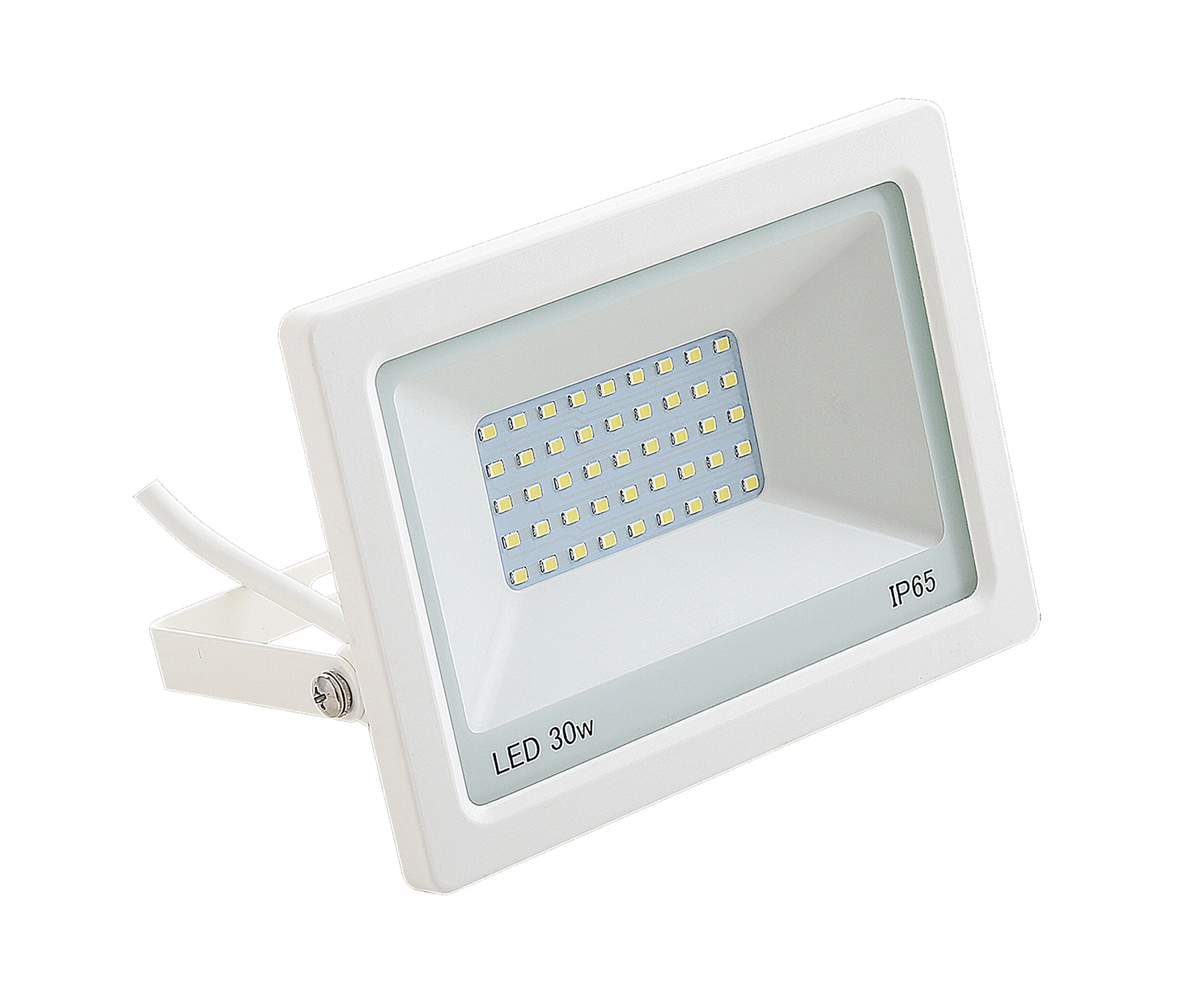 30W Outdoor Lighting Aluminumled Flood Light LED Lighting IP65