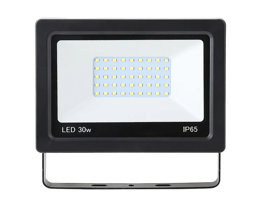 30W Outdoor Lighting Aluminumled Flood Light LED Lighting IP65