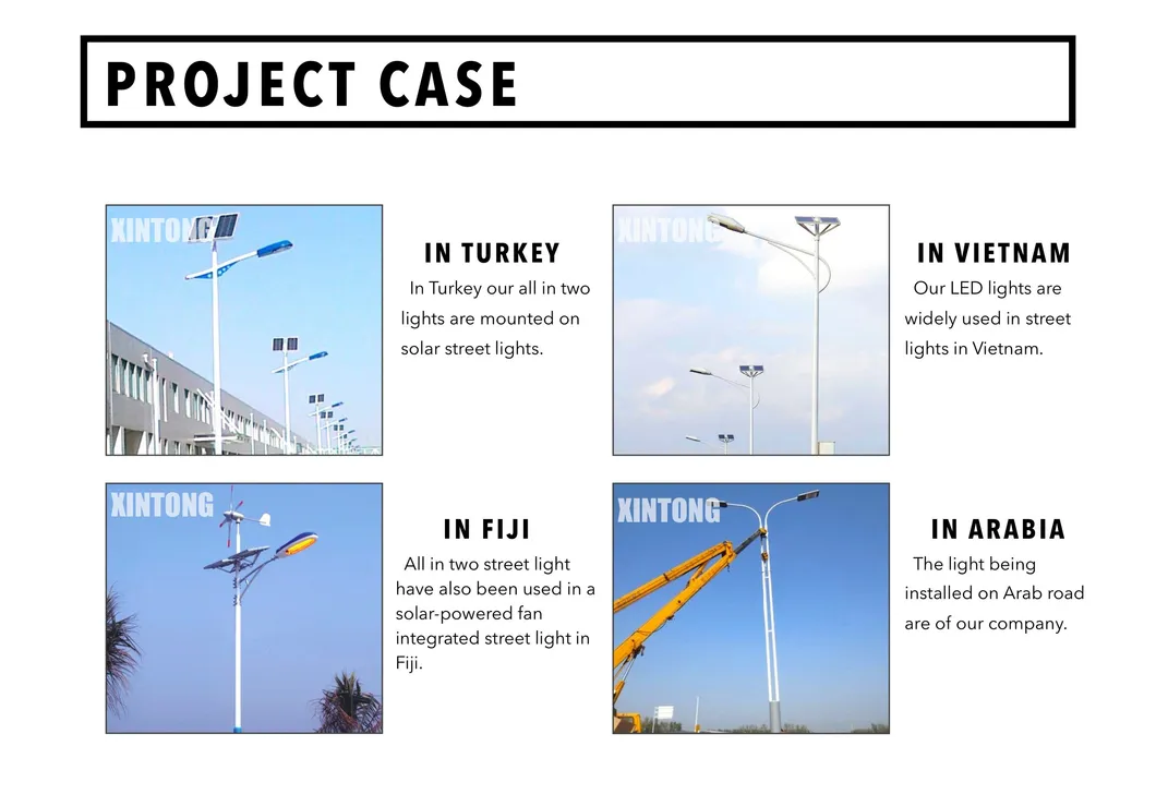 All in One 100W Cobra Head LED Solar Street Light Lamp