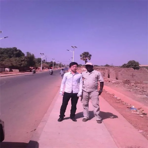 Baode Lighting 8m60W New Solar LED Street Light CREE Chip