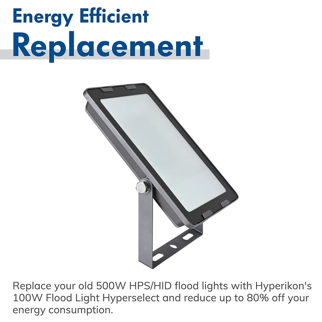 CE SAA Bis UL ETL Dlc Inmetro Certificate 10W Outdoor Lighting LED Flood Light IP65 Finished Product or SKD Floodlight and Security Lights for Garages