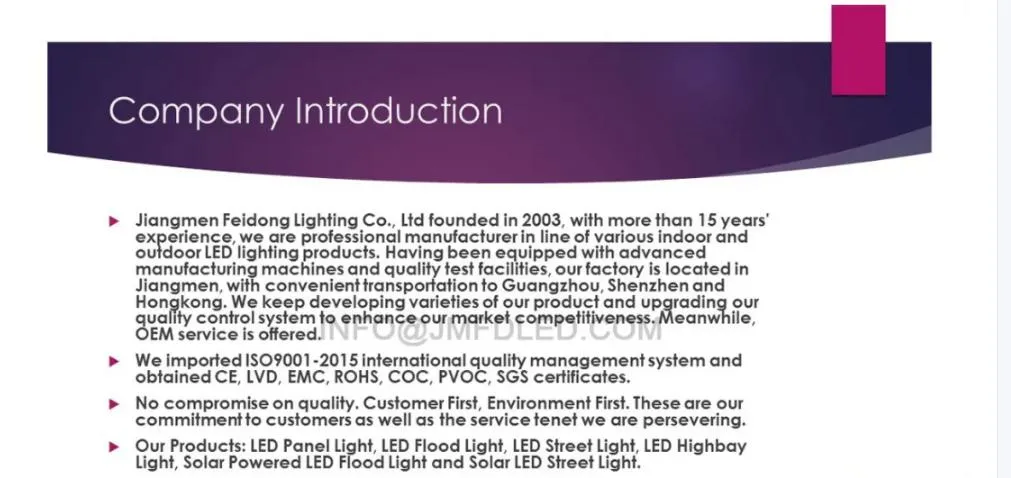 COB 150W 200W for Road Street High Lumen LED Street Lights