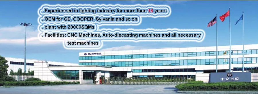 European Style LED Street Light 60W to 100W 5 Years Warranty