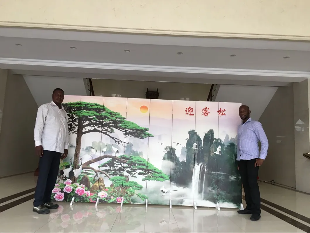 Factory Direct 6m7m8m Pole LED Solar Street Light with Gelled/Lithium Battery