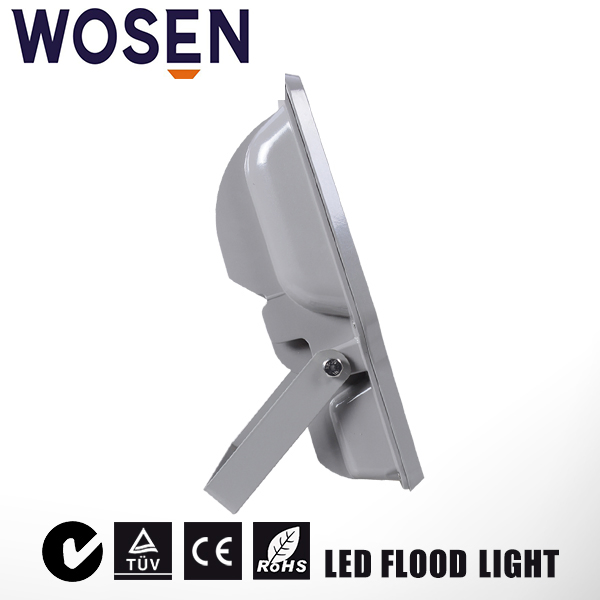 High Power 100W LED Flood Light with Ce
