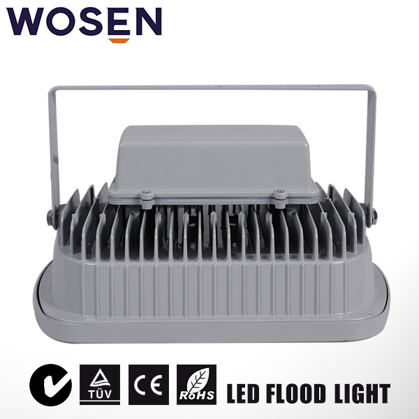 Hot Sale 50W LED Floodlight with Ce RoHS (IP65)