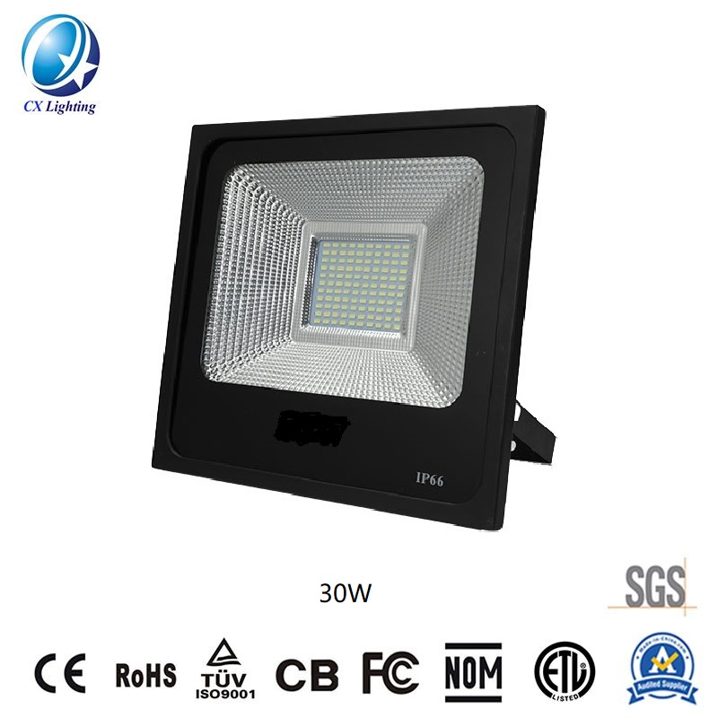 IP65 LED High Illumination Floodlight 30W 2550lm Ce RoHS