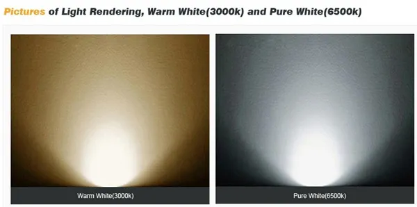 IP65 LED High Illumination Floodlight 30W 2550lm Ce RoHS