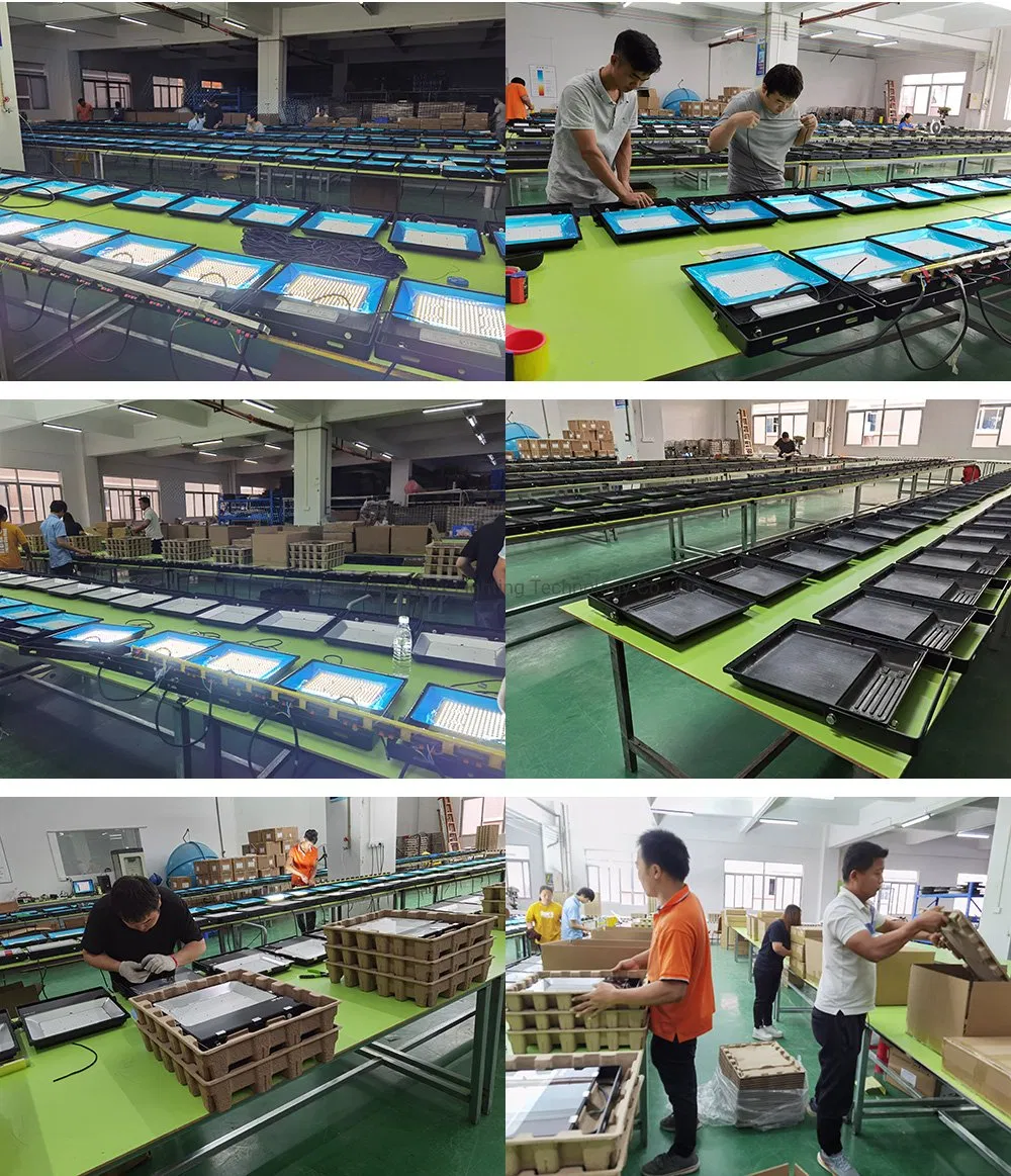 IP66 100W LED Flood Light, LED Garden Light, Tunnel Light, Spot Light, LED Floodlight