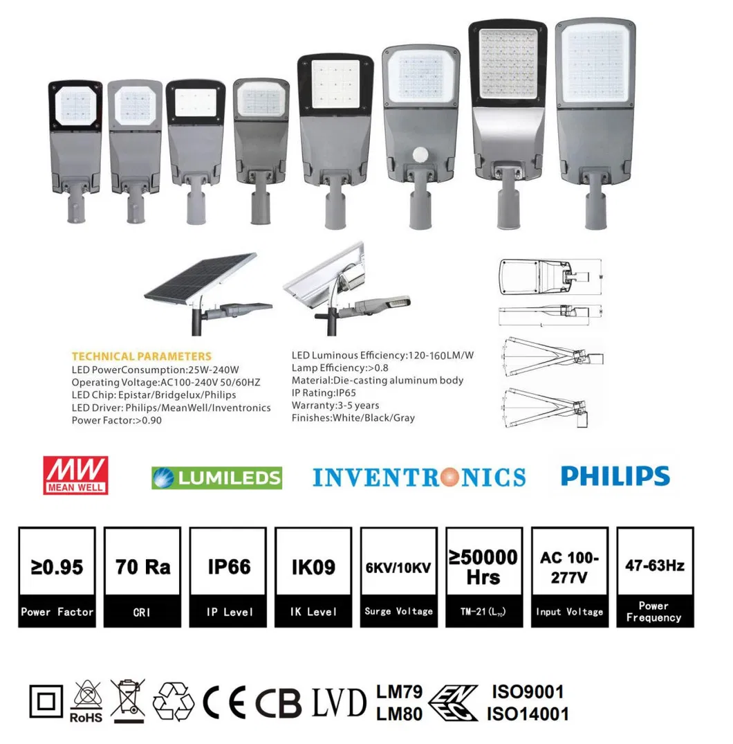 IP66 5 Years Warranty Yard Path Lamp Inventronics Driver Direct Mount 30W LED Road Lighting
