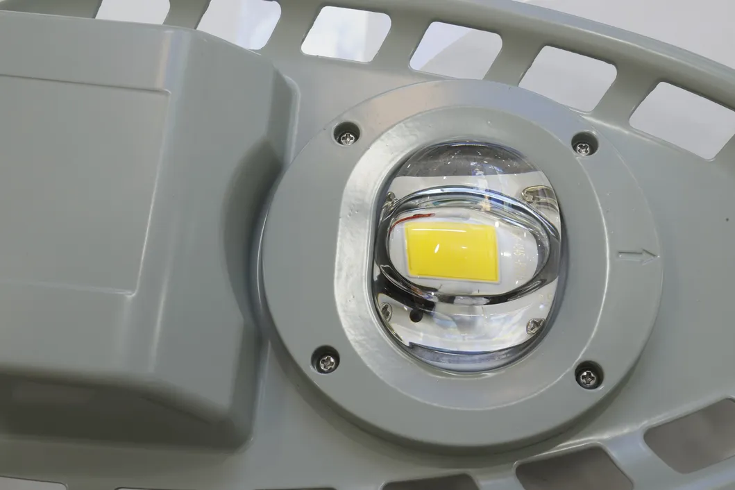 ODM Competitive Price 40W Cobra Lamp for LED Street Lighting