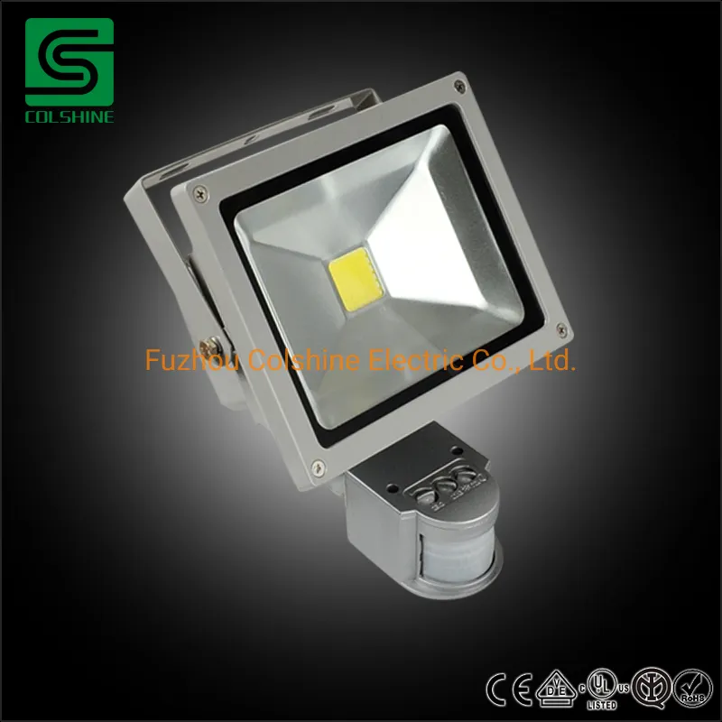 Outdoor Waterproof IP65 30W 50W 100W Landscape LED Flood Light