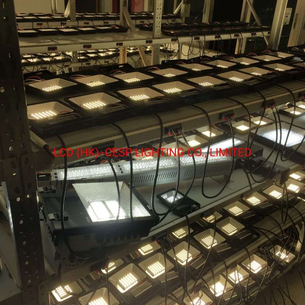 PF 0.95 CRI80ra Thd<15% Aluminum Alloy Die Casting 100W LED Flood Light for Cement Lime and Gypsum Lighting Floodlight LED